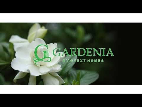 A 40th Birthday Gift: Free Sales Masterclass with Dr. Stephen Akintayo