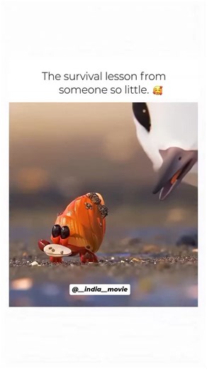 __india__movie follow 🥹 2027 | Video-81 Pixar's 2016 short film Piper is a visual and emotional masterpiece that manages to tell a profoundly relatable story without a... | Instagram