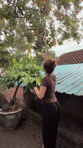 kadekkokom (@kadekkomalasari2)’s videos with suara asli - UKI GARDEN🍀