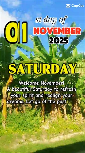 3 comments | Grace Carigo on Reels | Facebook