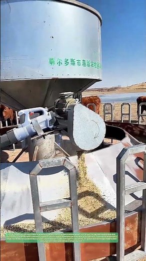 Alimentation mécanisée des bovins : Comment la technologie améliore l'efficacité agricole ?