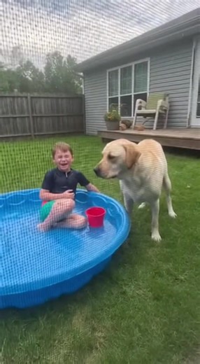 Don't start a water war you can't finish! The cat’s judgement is real.  | BRAND upstART | Facebook