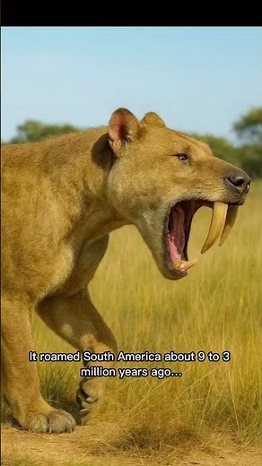 🐯 Thylacosmilus: The Saber-Toothed Marsupial Predator