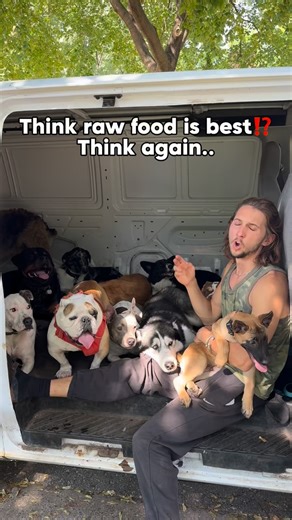Cherry Hoggs | Dog Training on Instagram: "🥩❌ vs 🥦🍗✅ Raw isn’t always best! Did you know AAFCO recommends 18% protein for adult dogs? 🐕 A diet of just protein doesn’t give them everything they need to thrive. 🧬 Dogs have the AMY2B gene - meaning they’re built to break down starches 🥔🍠, not just meat. Whole food diets = balanced nutrition, better energy, healthier pups . #dogtraining #dogtrainingtips #dogtrainingadvice #doglover #dogpsychology #reactivedog #puppytraining #dog #dogbehavior 