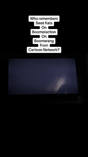 Boomeraction bumpers part 6 swat kats on boomerang from Cartoon Network