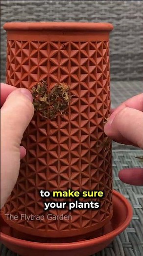 Vertical Garden Upgrade #shorts