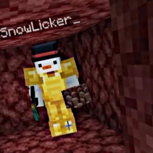 Snowlicker's Redemption #minecraft #unstablesmp #parrotx2
