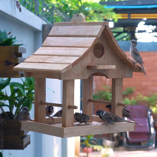 109K views · 637 reactions | Amazing Woodworking DIY And Crafts Making Wooden Pets House | Woodworking Tools TV | Facebook