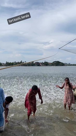 #Kerala | Madras view