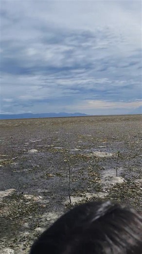 Good morning everyone.. | David Martin