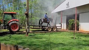 Introducing GOOBER GRAPE.... It's that Peanut Butter and Jelly Shot White Bread with a Thick Spread..... Introducing.... GOOBER GRAPE 15.3 and 7 yr old of pure awesomeness 1 in 2 million Blue Roan Draft Cross Gelding Make sure to check out the vids in the comments of the original post. Please pm the Stables page or Curtis Teague for more info. A STEP ABOVE STABLES... The source for your Dream Horse. Check this site out and you will see, A STEP ABOVE STABLES, is where you should be, ALL HORSES GU