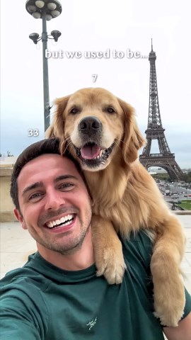 A golden retriever’s entire decade plays out in 18 seconds and it’s impossible not to feel it