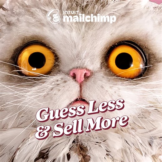 23K views · 548 reactions | We analyze billions of emails to give you suggestions to improve your marketing results. | Intuit Mailchimp | Facebook