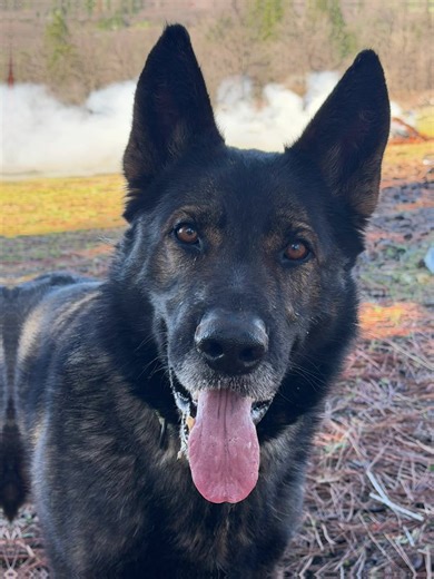 #GSD. #Ouch #think about it. #Overwatch.