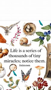 When we pay attention we are reminded of all the ordinary miracles all around us 🦋 #mindfulness #beherenow #payattention #observe #miracles #gratitude #gratefulheart | Roma Downey