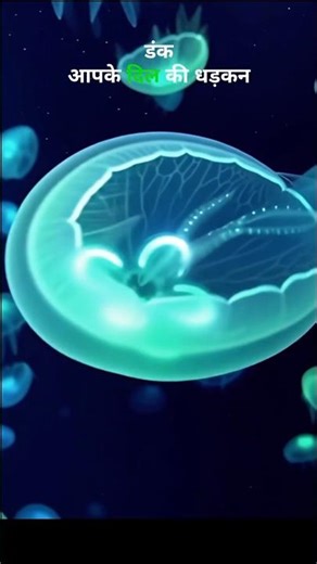 This Jellyfish Makes Sharks Look Safe #shorts