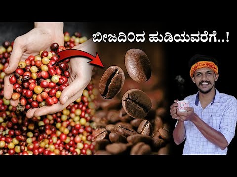 How coffee is made.. full process | Coffee Powder making process | Vidya coffee