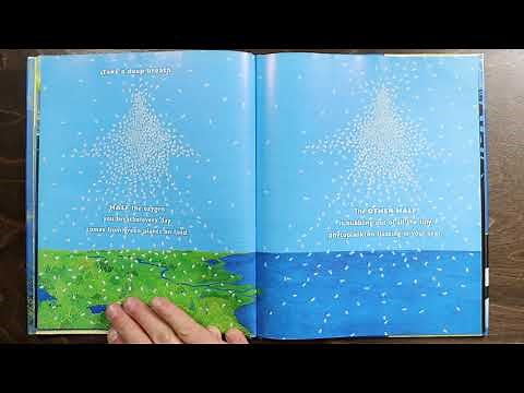 Story Time: Ocean Sunlight