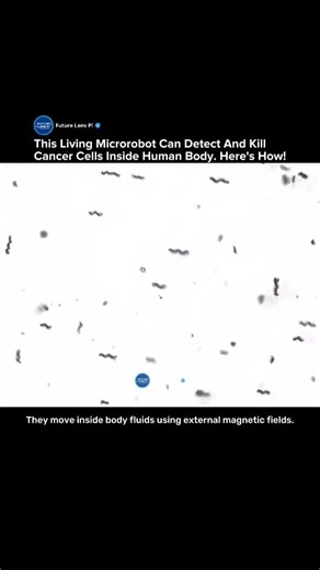 Scientists Created Living Microrobots That Can Detect and Kill Cancer Cells #robot #tech #shorts