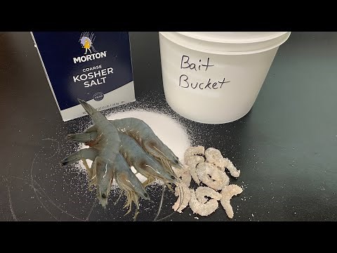 How To Salt Bait Shrimp. 🦐 🦑 🐠