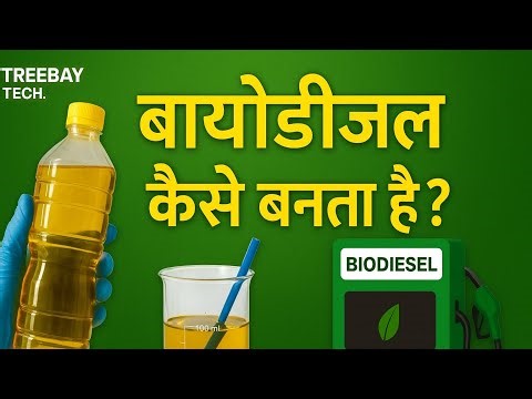 बायोडीजल कैसे बनता है? | Biodiesel Making Process Step by Step | TREEBAY TECH