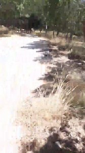 23K views · 197 reactions | Bormla | Malta Dizastru TOTALI !!!!!!!! | Facebook