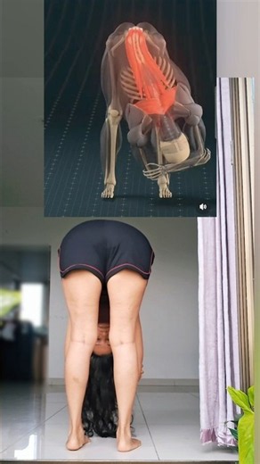 hamstring stretch calf muscles stretch glutes stretch lower back pain relief lower back stretch