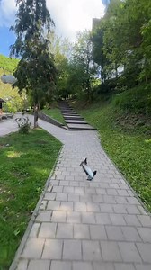 68K views · 1.8K reactions | Park Banjica https://www.soko-banja.org/park-banjica.html #Sokobanja | Sokobanja | Facebook