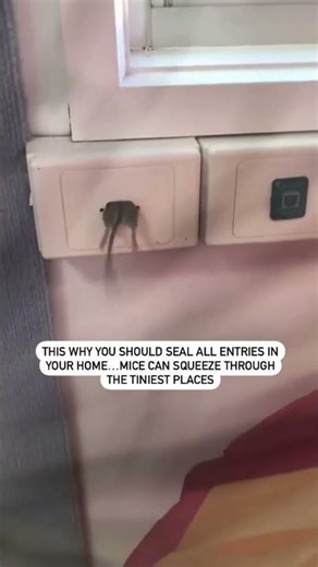 A Fire Hazard Waiting to Happen!