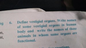 6. Define vestigial organs. Write names of some vestigial organ... | Filo
