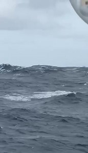 37K views · 194 reactions | Golden Globe Race on Reels | Facebook