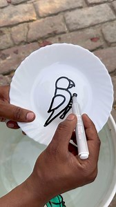 33K views · 239 reactions | New How to draw Parrot and Fantastic Drawing idea’s for beginners | AP Drawing | Facebook