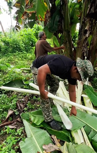 Suasana Gotong Royong Kenduri Kahwin menu Rare Gulai Daging Rias Pisang #nostalgia #kendurikahwin #balingkedah | Rawahill channel