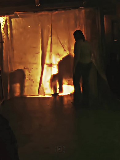 Fur Mommy Found Footage Movie Edit: Alien Romulus مترجم