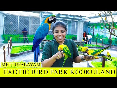 Exotic Birds Park | Now at Mettupalayam | KOOKYLAND | Coimbatore | SCP VLOGS | #BIRDSPARKCOIMBATORE