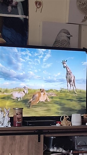 volcano 20 (@volcano2095)’s videos with original sound - volcano 20