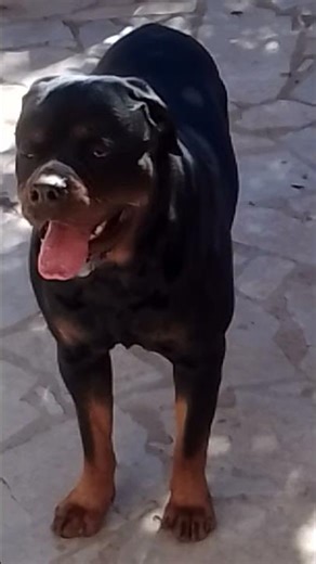 Mimi's eye contact knowing the camera is on