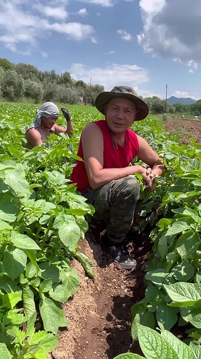 Mga magsasaka sa Italya. #pinoyfarmerinitaly. #agriculture #farmlife #bio #tutorial #organic #viralreels #reelsfb #store | Pinoy Farmer Sa Italya