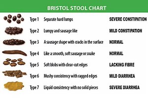 What the colour of your poo says about your health...from green to red and what's normal