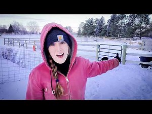 I Was Tired of Picking Horse Manure...So I Did This