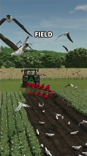 Birds in the field in FS25 (PC only)