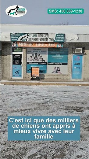 Mon local #educateurcanin #chienquebec #terrebonne #courscanin