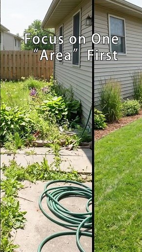 FOCUS on One Area First in Your Messy Yard #yardcleanup #yardfix #yarddesign #yardtips #landscaping