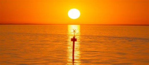 Marine heat waves are sweeping the seafloor around North America - The Weather Network