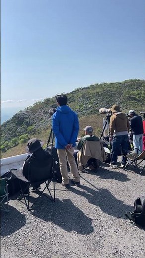 伊吹山イヌワシ観察会、ジネンとアリー現る
