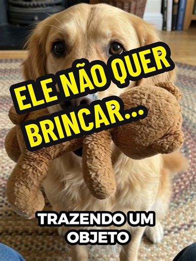 Você acha que ele quer jogar a bolinha? Pense de novo... 💔🥺 Muita gente comete esse erro todos os dias. Quando seu cachorro corre até a porta com um brinquedo na boca, a Ciência chama de