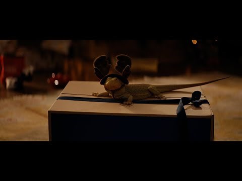 Celebrate the Holiday Moments: Assortment | Chewy