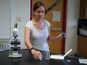 Focusing a microscope and preparing a wet mount