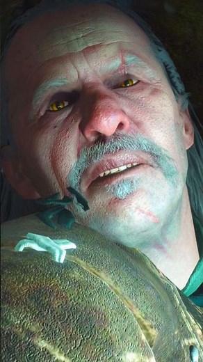 Vesemir's Death, The Witcher 3: Wild Hunt