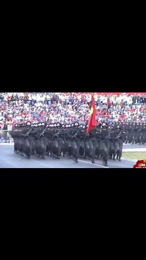 Vietnam People's Army Military Parade 2025: Strength in All Fields